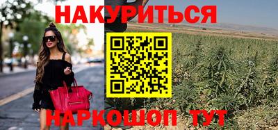 крисы Дубна