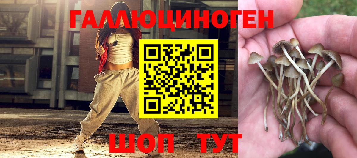 Галлюциногенные грибы мухоморы  Псилоцибиновые грибы Psilocybe  Вход с VPN  Мичуринск 