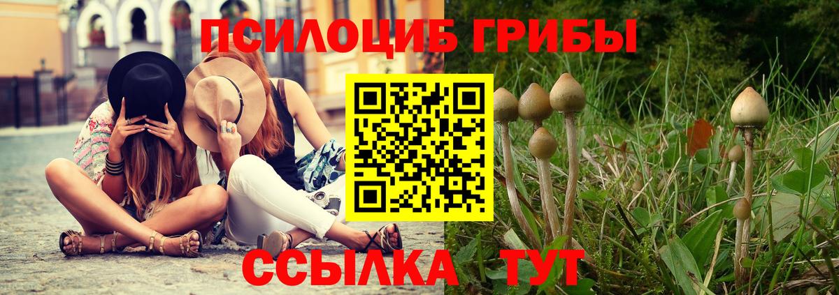 Галлюциногенные грибы GOLDEN TEACHER  Мичуринск 